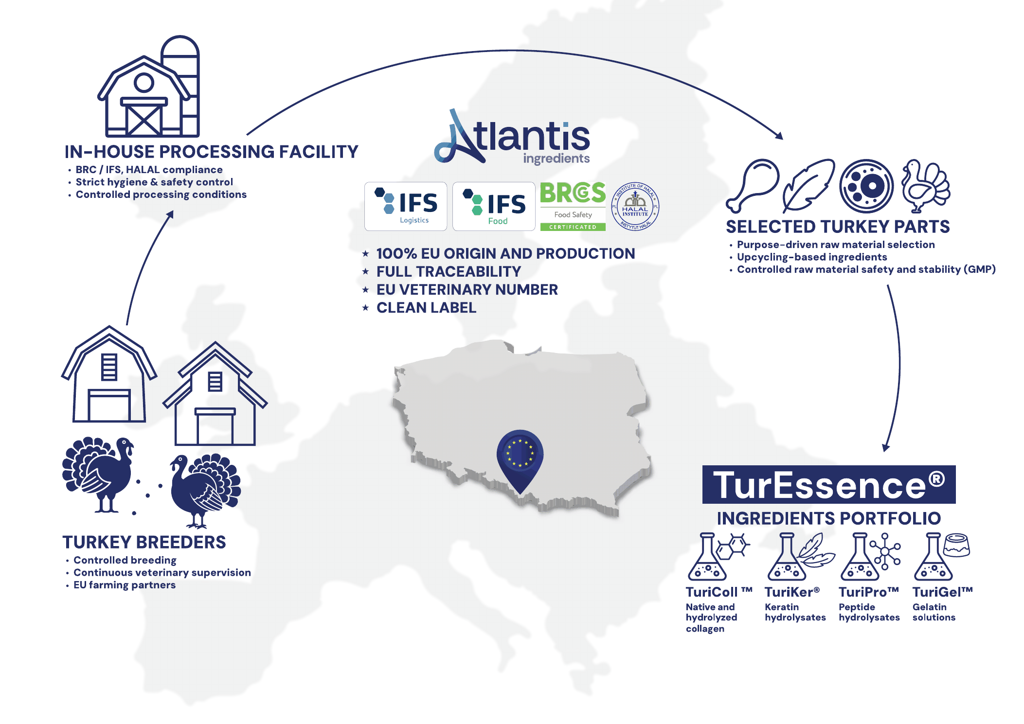 Lieferkette von Atlantis Ingredients — von Haltung und Verarbeitung bis zum TurEssence®-Portfolio.